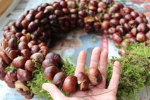 Entstehung eines Kastanienkranzes